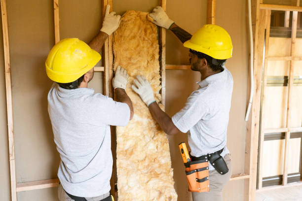 Carnesville, GA Insulation Services Company